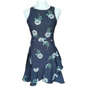 Banana Republic Floral Fit & Flare Sleeveless Ruffle Hem Dress 00 Petite